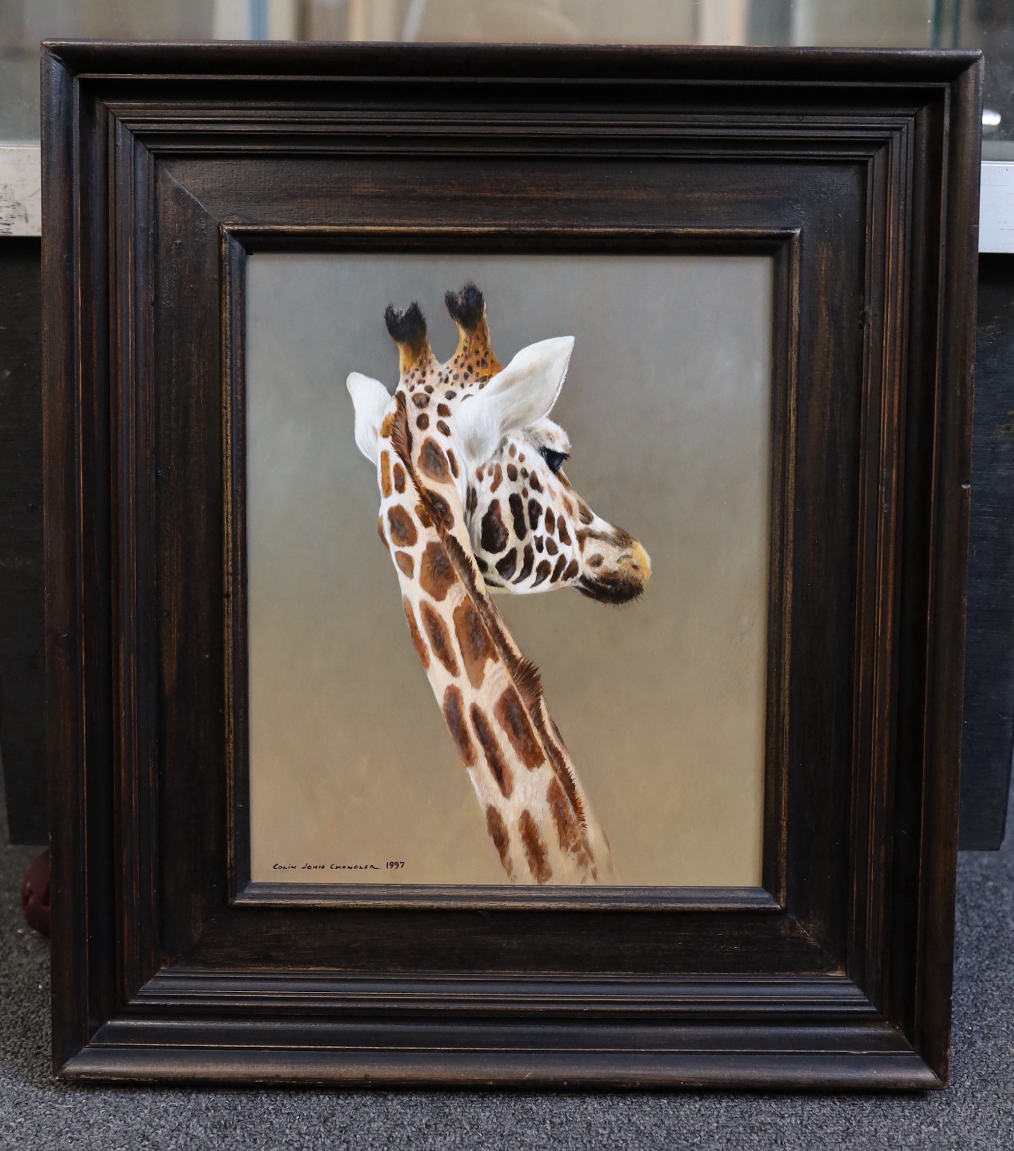 Colin John Chandler (British, b.1958), oil on board, 'Giraffe', signed and dated 1997, 29 x 23.5cm